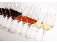 Verre à vin blanc - 40 pc